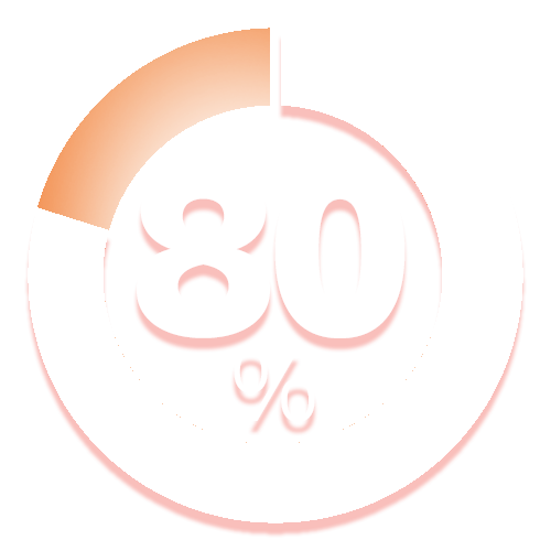visual representation of '80 percent'